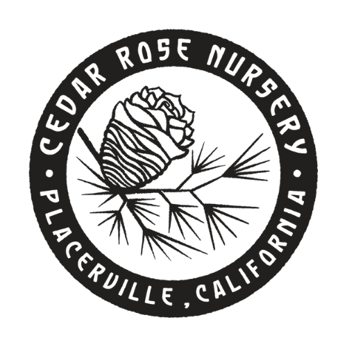 Cedar Rose Nursery logo